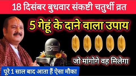 18 दिसंबर बुधवार संकष्टी चतुर्थी व्रत के दिन 5 गेहूं के दाने वाला उपाय जरूर करें | Pradeep Ji Mishra