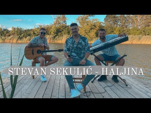 STEVAN SEKULIC - HALJINA (COVER 2022)