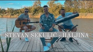 STEVAN SEKULIC - HALJINA (COVER 2022) Resimi