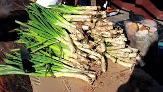 ¡Calçots! Что это? Каталонская кухня- Tovste Koshenya