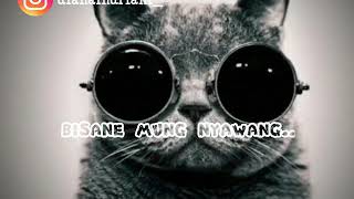 Story WA : Bisane Mung Nyawang
