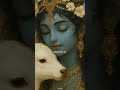 #krishna mantra #radhe radhe #🙏🦚#