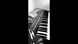 #geceler #arabesk #müzik #org #korgpa800