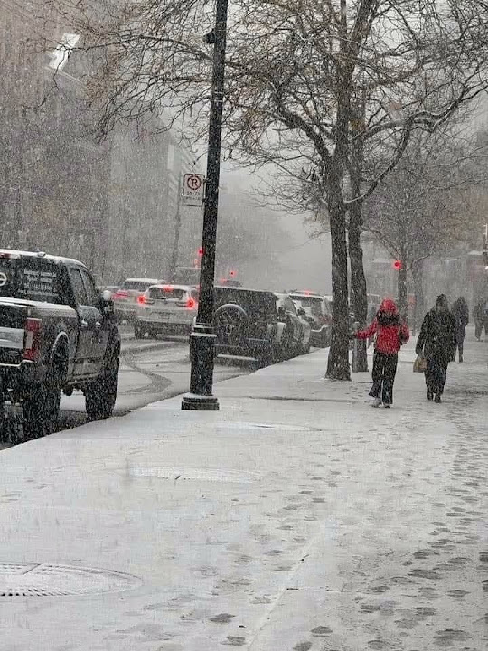 It started snowing in Montreal 🇨🇦 🍁 ️ YouTube