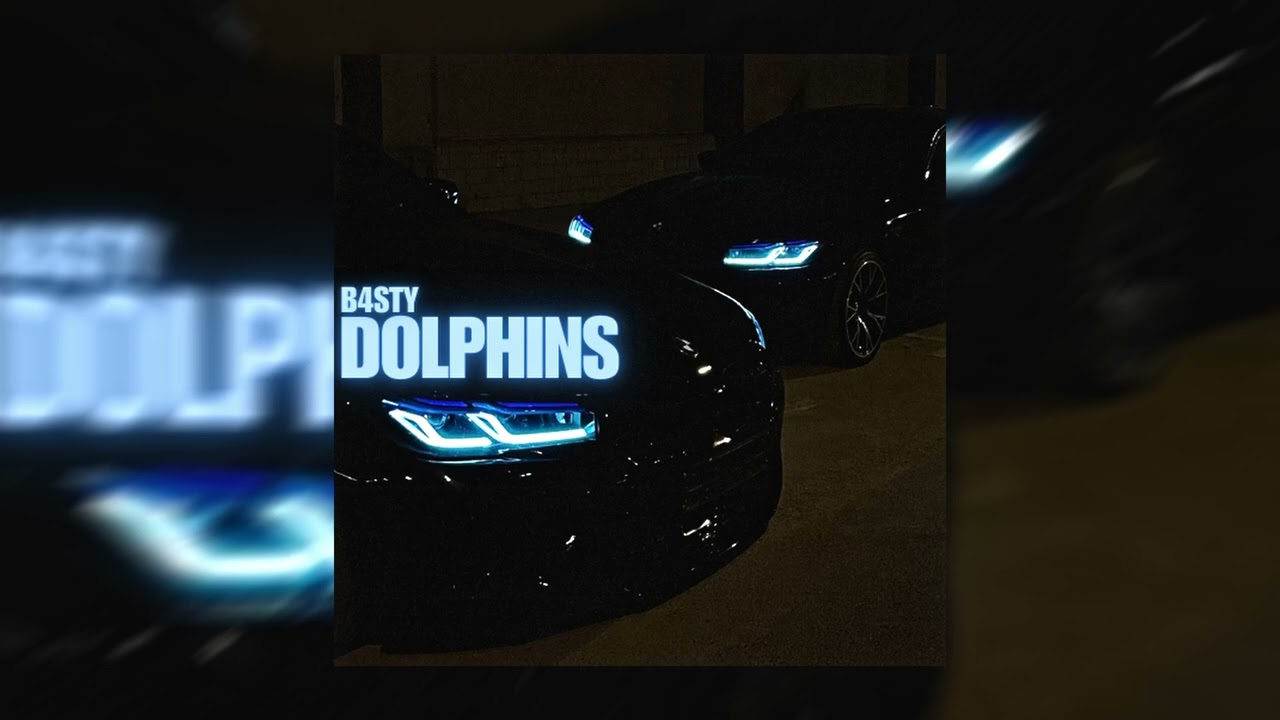B4STY - DOLPHINS