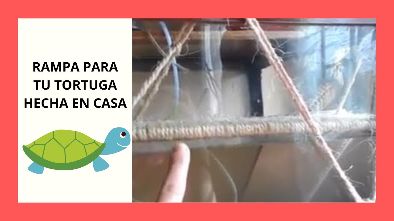 Tortuguero plástico con rampa y maceta plataforma - MASCOTAMODA