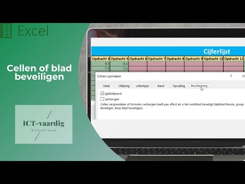 Excel - Cellen of blad beveiligen