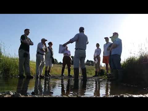 RESTORATION AND RENEWAL: The Big Spring Run Experiment