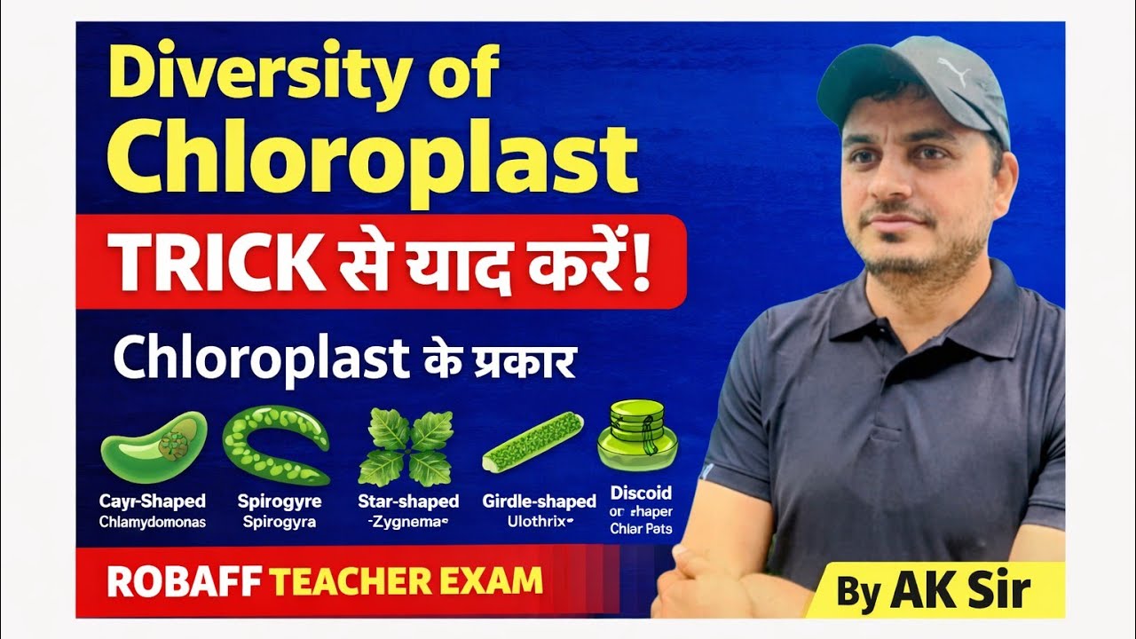 Diversity of Chloroplast | Chloroplast Types Trick | biology tricks| PGT TGT RPSC | By AK Sir