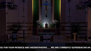 Wed Mass on 7/22/26: Fr. Christian Morquecho; Prayers 6pm