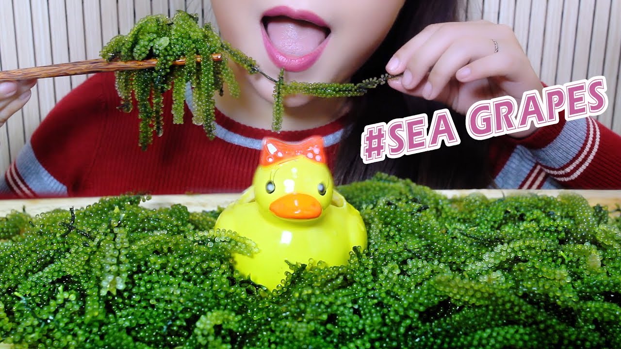ASMR SEA GRAPES Platter ,EXTREME CRUNCHY POPPING EATING SOUNDS | LINH-ASMR