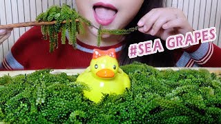 Asmr Sea Gs Platter ,Extreme Crunchy Popping Eating Sounds Linh-Asmr