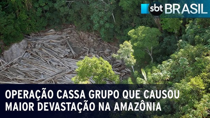 Receita Federal apreende mais de 600 pneus importados ilegalmente em lojas  de Maringá, Norte e Noroeste