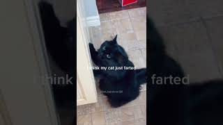 Funny Pets | 2024😂 Funny Dogs And Funny Cats Videos 🐱 🐕 😄 #114