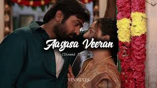 Aagasa Veeran [Slowed & Reverb] - Vin Mixes