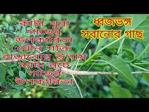 ভিডিও: যৌন সহিংসতার শিকড়