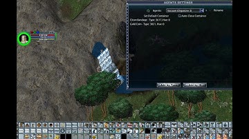 Ultima Online Enhanced Client Agent Settings