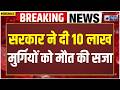 Maharastra Bird Flu Alert: महाराष्ट्र में खौफनाक फैसला! लाखों मुर्गियों पर खतरा! Marathi | Chicken