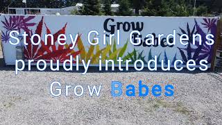 Stoney Girl Introduces Grow Babes - The New Era