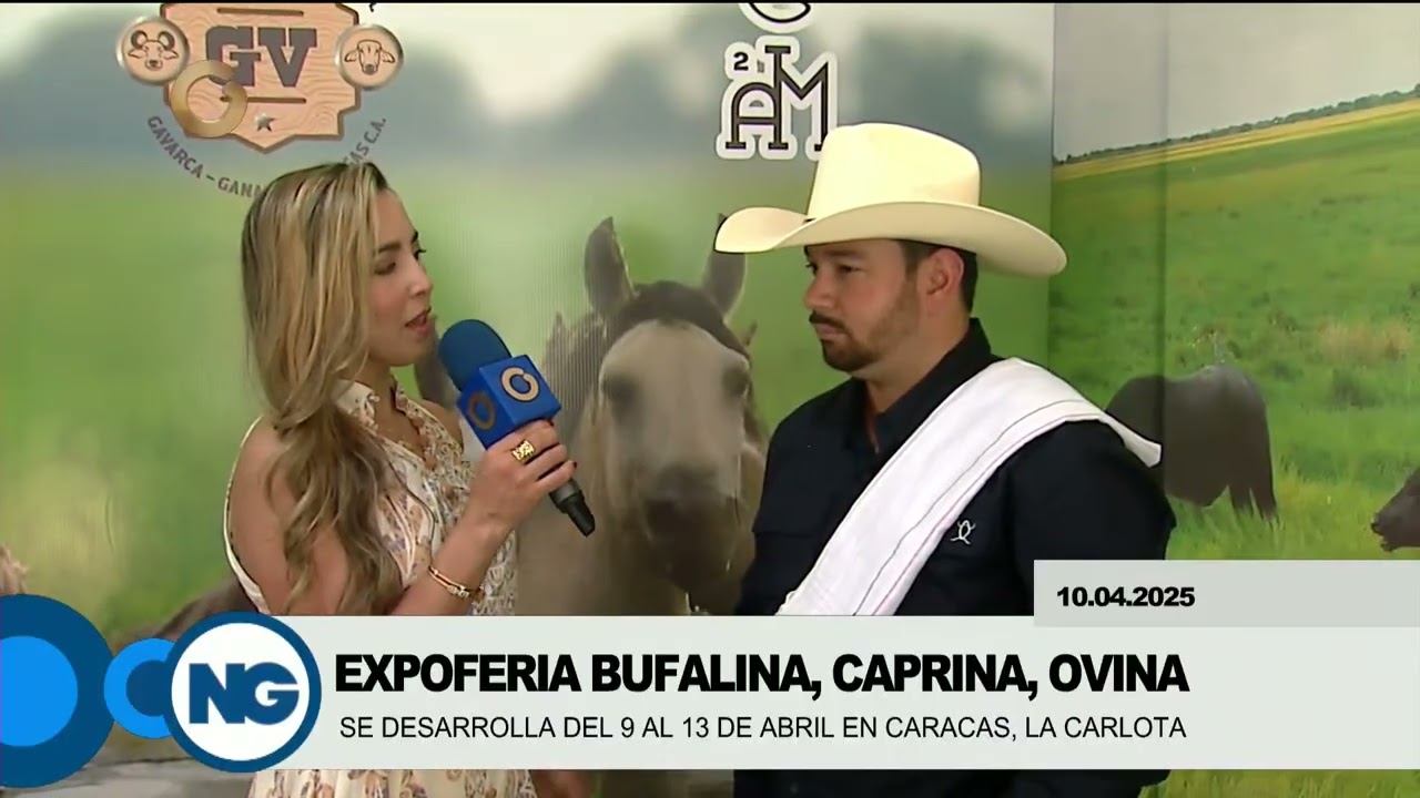 GV Noticias de la noche | Expoferia Bufalina, Caprina, Ovina 2025