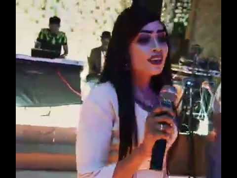 طاسو و مروة الدولية خوة الندم حفل كايرو 2 TASO 