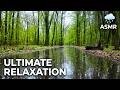 Heavy Rain Walk in a Peaceful Park 🌧️ Real Rain Sounds ASMR | 4K Relaxing Walk