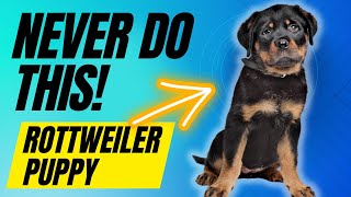 6 Things You Must NEVER Do With Your Rottweiler Puppy