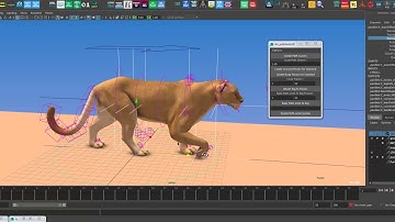 bh pathAnim Final Setup Demo