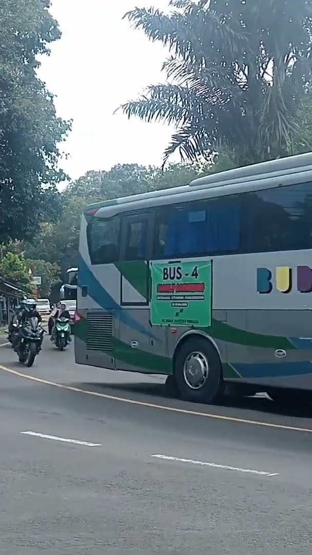 Petualangan di Balik Roda: Mengupas Dunia Rombongan Bus Pariwisata