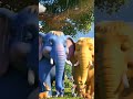 नीलू हाथी और पीलू हाथी #cartoon #cartoonvideo