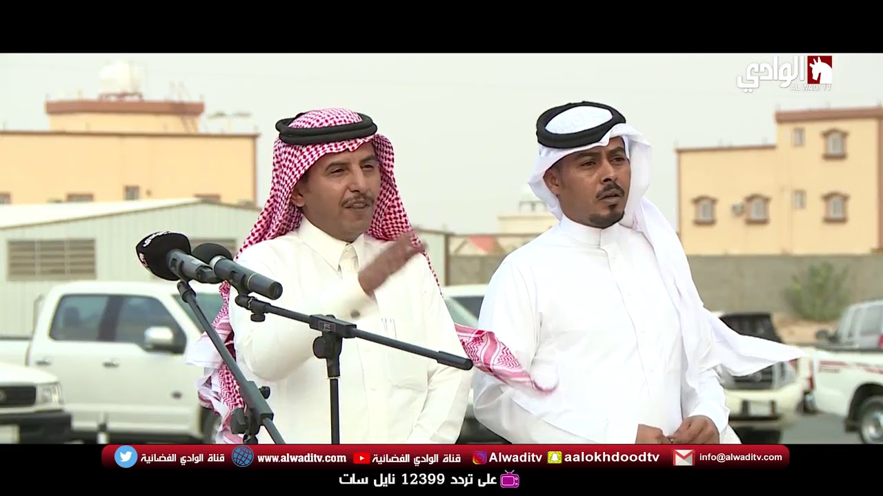 حفل زواج هادي بن ناجي أبوعافص آل هضبان على قناة الوادي الفضائية