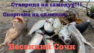 Ставка на ставриду, микроджик в Сочи. Рыбалка на море #fishing #sochi #рыбалка #сочи #микроджиг