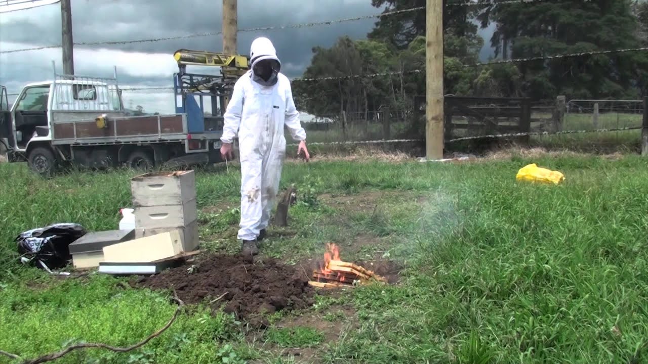 Afb Elimination 11 How To Burn A Hive Youtube
