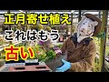 最新お正月寄せ植え教えます　今年作るならこれ　　【カーメン君】【園芸】【ガーデニング】【初心者】