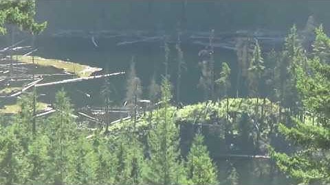 Sasquatch spotted in the remote mountains of Mission BC!