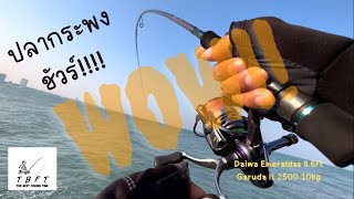 เปิดคันใหม่กับช่องใหม่ก็ได้สนุกเลย( ชะอำหมายเด็ด!! )คันDaiwa Emeraldas 8.6ft รอกGaruda 2500lt EP.1