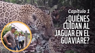 CAP1. Comunidades que cuidan el territorio del jaguar