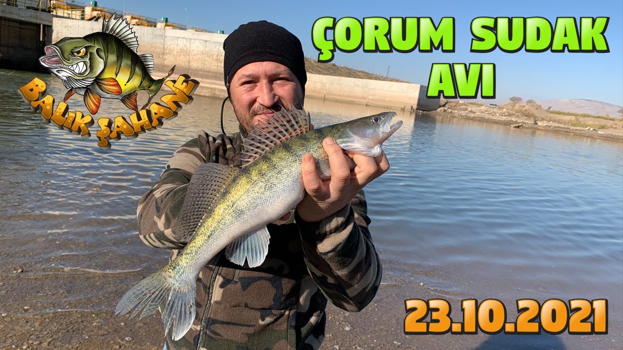 ÇORUM SUDAK BALIK AVI...