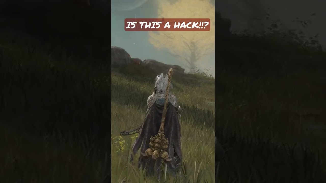 ELDEN RING HACKERS OR EXPLOIT! SOMEBODY EXPLAIN?