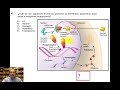 Resolución Prueba de transición Biología Común