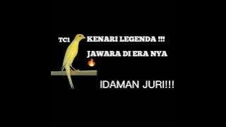 LEGEND!!! CENGKOK IRAMA LAGU KENARI TC1 BUAT MASTERAN | SIAP SIAP JADI PENERUS TC1