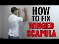 3 Exercises You Can Do To Fix Winged Scapula