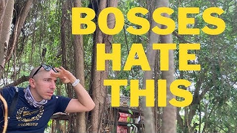 Use ChatGPT 4 to turn a database structure into entity relationship diagrams.