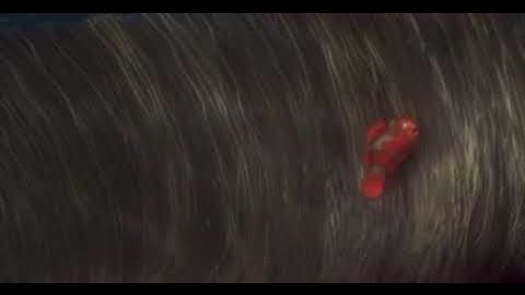 Finding Nemo Whale Scene 2