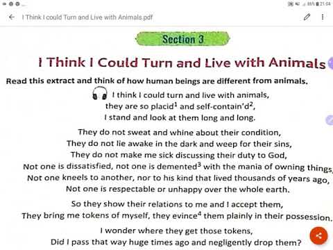 Animals Poem by Walt Whitman, Explanation - YouTube