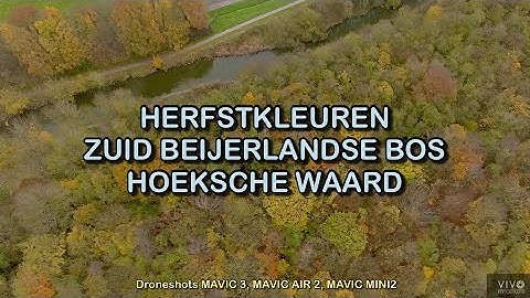 Herfstkleuren Zuid Beijerlandse Bos Hoeksche Waard 2022