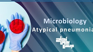 Revision of Tut 1, atypical pneumonia, micro screenshot 2