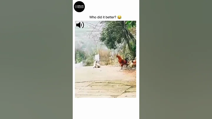 What Happens When Dogs Act Like Chickens? 🤣🤣| #shorts #daily_life_quotes - DayDayNews