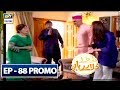 Watch Dilli Walay Dularay Babu Episode 88 ( Promo) - ARY Digital Drama Online In Hd