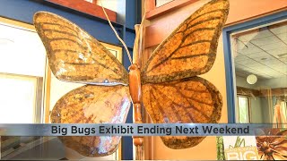 Big Bugs Exhibit Ending September 10Th At The Khelm Arboretum And Botanic Garden